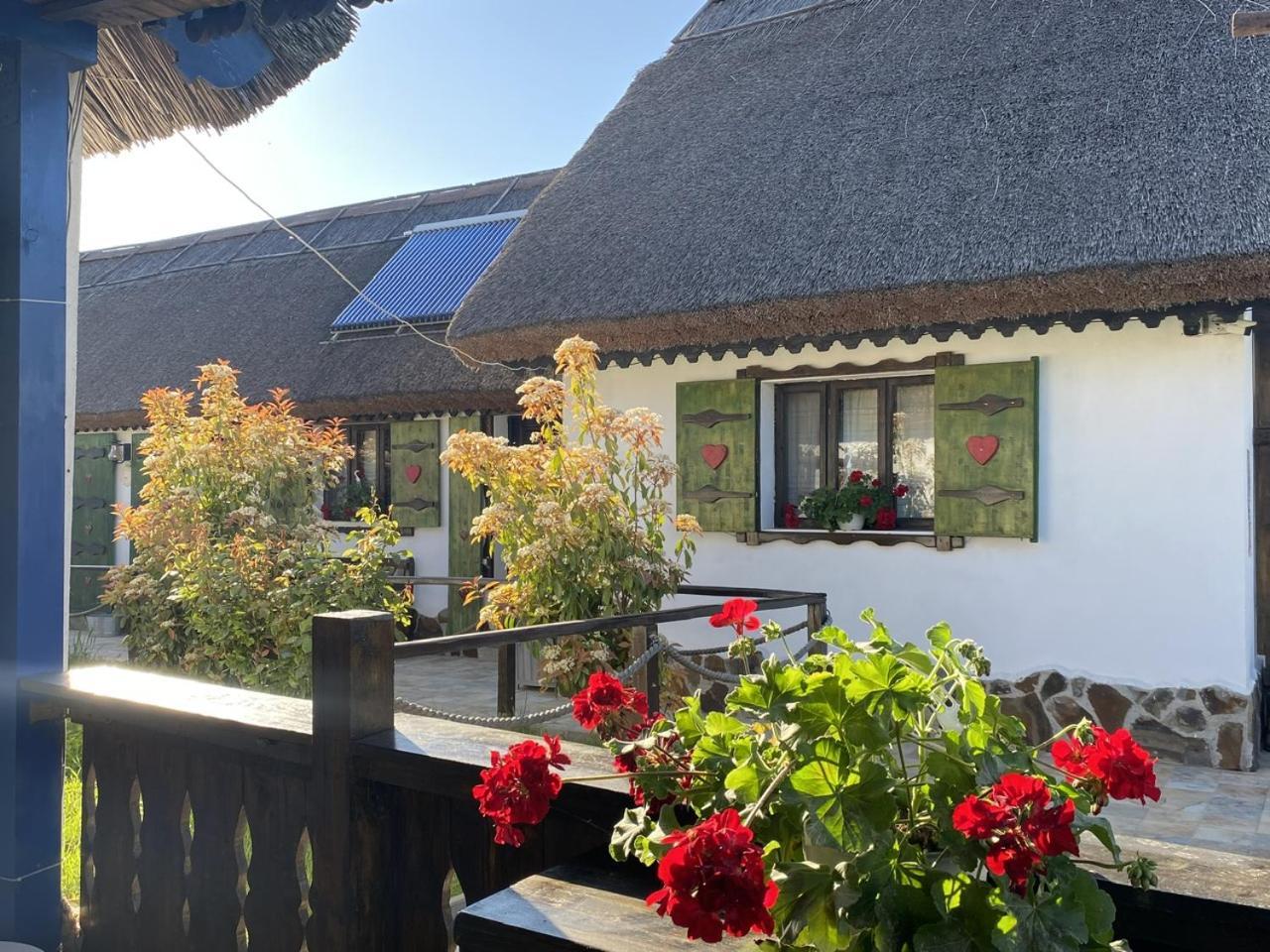 Casa Soarelui Hotel Murighiol Eksteriør billede